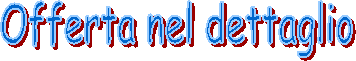 Offerta nel dettaglio
